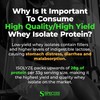 Species Nutrition Species Nutrition Isolyze Whey Protein Powder, 100% Whey