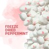 Peppermint Flavored Freeze-Dried Taffy 2 oz – Crunchy & Airy