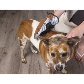 FURemover Pet Grooming Mitt, Scratch Free Dog Grooming Mitt Suitable for Long & Short-Haired Breeds, Set of 2, Colors May Vary, FMB2P12-AMZ