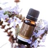 ECO. Modern Essentials Patchouli Pure Essential Oil, 10ml