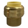 2 Pcs XFITTING Push Fit 1/2 Inch End Cap Plug,