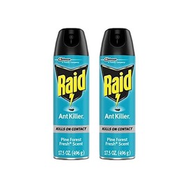 Raid Ant Killer Spray Pine Forest (17.5 Ounce (Pack of 2)