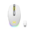 DeLUX Wireless Gaming Mouse with RGB Backlit, PAW3335 with 16000DPI,
