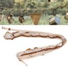 Campsite Storage Strap Clothesline Outdoor Hanging Lanyard Organizer Rope with