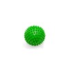 Pack of 5 Massage Balls with Nubs, Nub Balls, Hedgehog