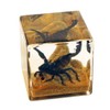 REALBUG 2" Black Scorpion Cube