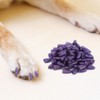 100PCS Pet Dog Soft PVC Nail Cover Paw Claw Cap