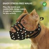 CollarDirect Pitbull Dog Muzzle Leather Amstaff Muzzles Staffordshire Terrier Secure