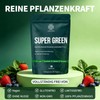 Green Helper Detoxification Powder, 200 g with 10 g Spoon,