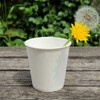 1000 plain paper cups 6.5 ounce plain paper cups 6.5