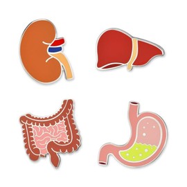 PinMart's Human Organ Pin Set Stomach Intestines Liver Kidney Medical Lapel Pins
