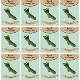 Set of 12 Squash- Zucchini Vegetable Seed Packs - Create a Deluxe Garden - All Seeds are Heirloom - 100% Non-GMO (Squash- Zucchini)