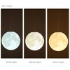 KRIPINC 3D Print Ceiling Light Moon, Creative Pendant Light Moon,