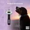 Max & Molly Matrix 2.0 Ultra LED, Dog Light, Leash