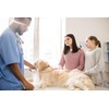 Gauze Rolls Pack of 72 – Premium Quality Lint and