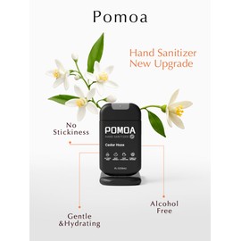 Alcohol Free Hand Sanitizer Spray, Non Irritating, Hydrating and Non Greasy, Gentle Fine Mist, Travel-Friendly Pocket Size 1 Fl Oz (Pack of 3), Woody Spice