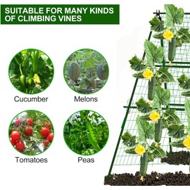 Cucumber Trellis Garden Trellis Arch Trellis, Tall Metal Trellis for Climbing Plants Support Vegetable Peas Fruit Vine Outdoor A-Frame Trellis (Green)