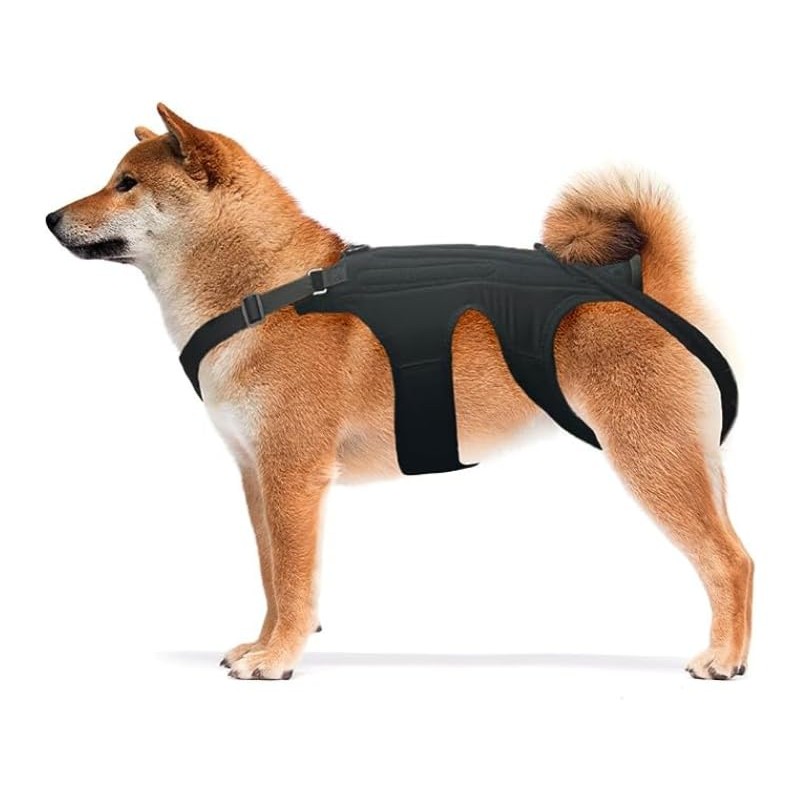 NeoAlly Dog Back Brace for Dogs Arthritis, IVDD, Spinal Surgical