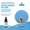 Phytopet Calm & Focus | 30ml | Natural Cognitive &