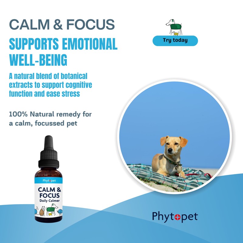 Phytopet Calm & Focus | 30ml | Natural Cognitive &