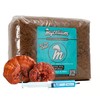 Mycelium Red Reishi Gourmet Mushroom Kit | 8LBS Alder &