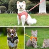 Cat Harness and Lead Set, Escape Proof Cat Kitten Walking