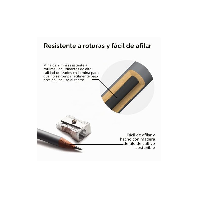 Winsor & Newton Studio Collection - Lápices de grafito (6