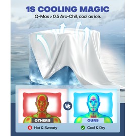 Ice Cooling Pillowcase for Hot Sleepers, Instantly Cool, Stays Cold All Night, Softer Than Silk Pillow Cases, Pillow Covers with Invisible Zipper, Gift for Men & Women - Queen Size, White (1 Pack)