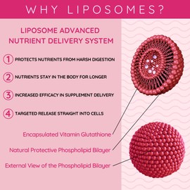WELL ACTUALLY Liposomal Glutathione 500mg (50 Servings - 250ml) High Bioavailability Setria® Glutathione Supplement with Vitamin B6 & Selenium - Powerful Antioxidant - Vegan, Cherry Mint Flavour