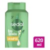 Shampoo Sedal Profissional Rizos Definidos 620ml