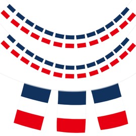 G2PLUS 11M Flag Chain Garland with 40 France Flags, France National Flag, 14 x 21 cm Flag Bunting for Garden Bar Decorations