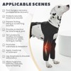 ROZKITCH Dog Surgery Recovery Suit to Prevent Licking, Elbow and
