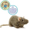 Reuben The Rat | 7 Inch Stuffed Animal Plush |