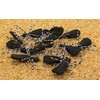 1 Dozen Foam Spider Flies for Fly Fishing for Bass,