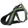 Premium touring harness