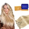 Worldstar Seamless Hair Extensions Clip in Hair #27P613 Balayage Caramel