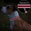 TagME Dog Collar, Adjustable Reflective Nylon Dog Collar with Quick