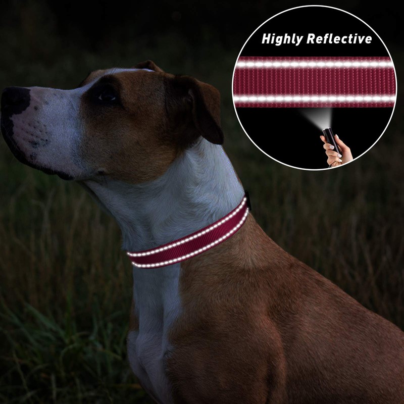 TagME Dog Collar, Adjustable Reflective Nylon Dog Collar with Quick