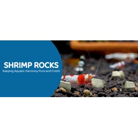 Shrimp Rocks, Calcium, Magnesium Rocks for Crayfish, Hermit Crab, Snails, Crustacean Care, Aquarium Decor for Crystal Red, Amano and Ghost Shrimps, Nano Tank Accessories, Fish Tank Supplies