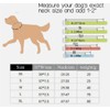 Genuine Leather Dog Collar, Adjustable Pet Collar, 5 Sizes XS-XL,