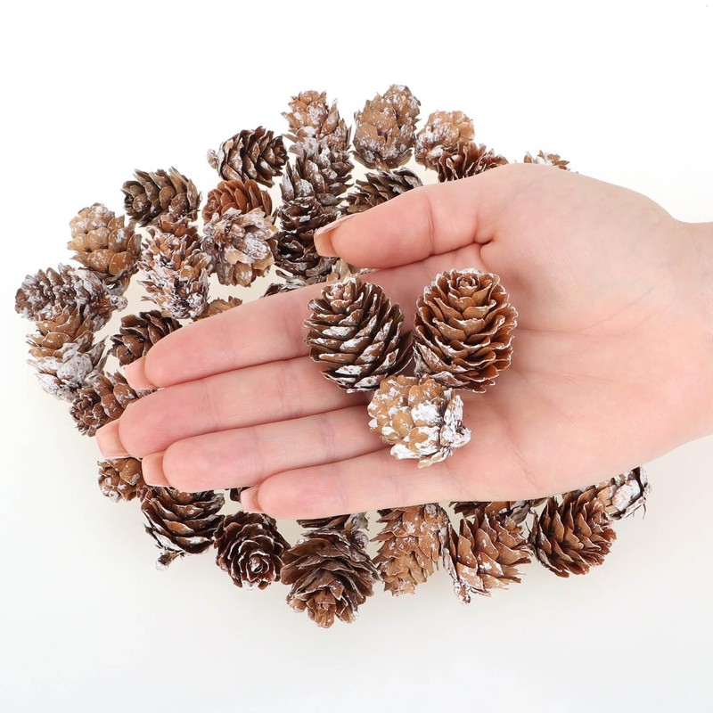 com-four® 50 x Decorative Cones Larch - Scatter Decoration for