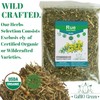 RUE Dried Herbs Ruda Seca, Ruda Graveolens, rue leaves and