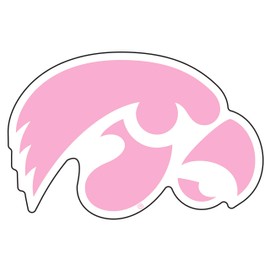 Iowa Decal (PINK HAWKEYE DECAL (3''4''6''12''), 6 in)