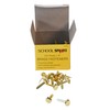School Smart Brass Plated Fasteners - 3/4 inch - Box
