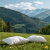 Dormisette Evolon Q222 Anti-Dust Mite Cushion Cover Size 40 x