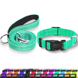 Maiiu Reflective Dog Collar with Safety Locking Buckle, Adjustable Soft Breathable Nylon Collars for Small, Medium and Large Dogs(Collar+Leash XS Width 5/8" Turquoise)