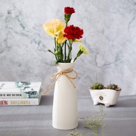 WEIDILIDU White Ceramic Vase Modern Home Decoration Porcelain Vase Vase Matte Design (weidilidu-735 White)