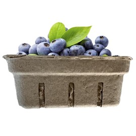 bark and lindy Half Pint Fiber Pulp Basket Container for Berries, Produce Storage, Fruit Crafting, Food Storage (10)