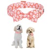 Unique style paws Dog Collar with Bow Tie Pink Daisy