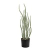 Creative Co-Op Faux Euphorbia Plant in Plastic Pot with Pebbles,